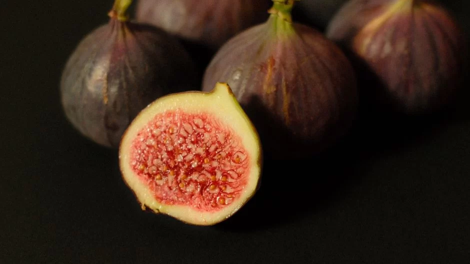 8fig eCommerce Funding: Flexible Growth Capital
