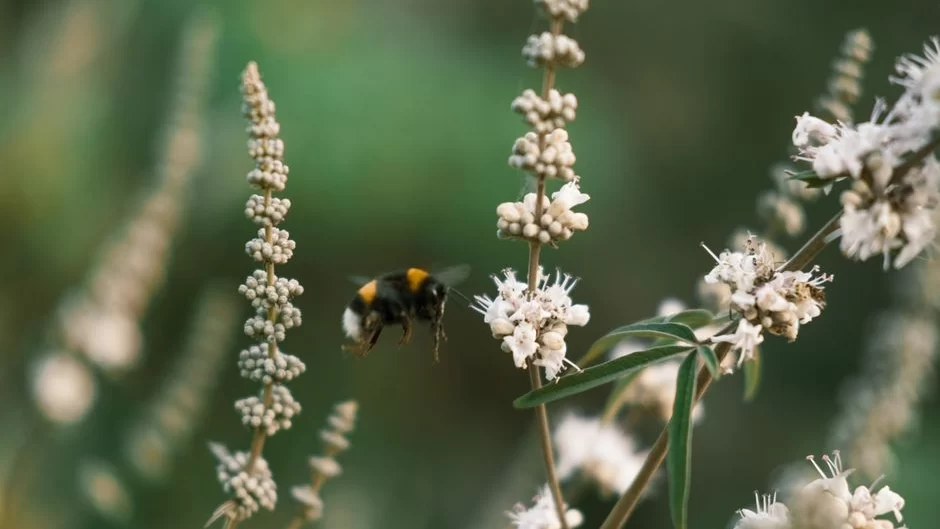 Reviewing the Beefree Email Builder and RGE Studio