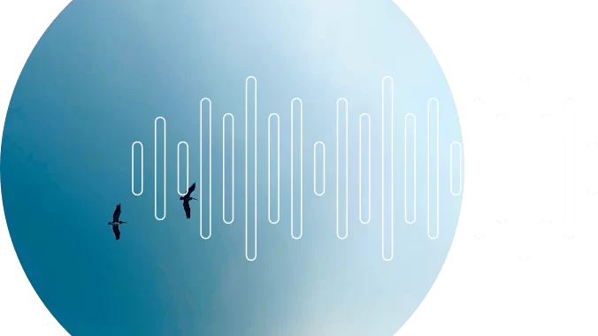 Soul Link App: An Editorial Guide to Mindful Soundscapes